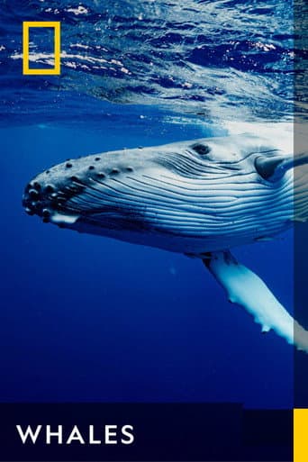 Poster for Whales
