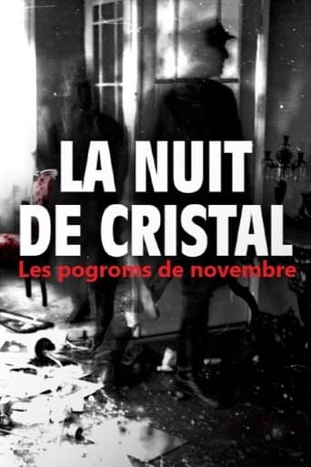 Poster for La Nuit de cristal : Les pogroms de novembre