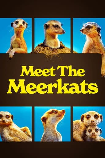 Poster for Meet The Meerkats