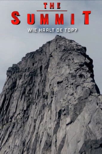 Poster for The Summit