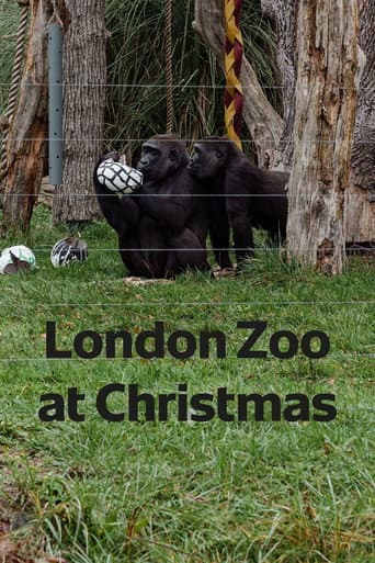 Poster for London Zoo at Christmas