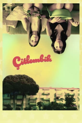 Poster for Çitlembik