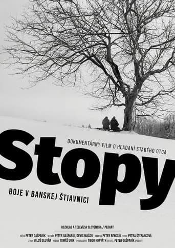 Poster for Footprints: Fighting in Banská Štiavnica