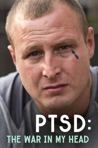 Poster for PTSD: The War in My Head