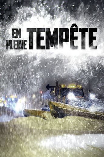 Poster for En pleine tempête