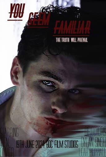 Poster for You Seem Familiar