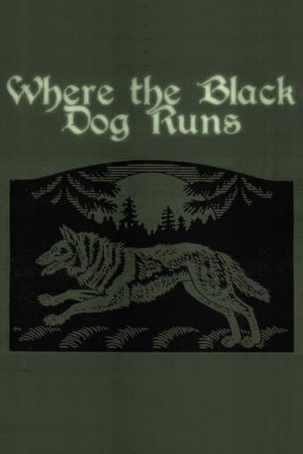 Poster for Where the Black Dog Runs