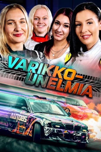 Poster for Varikkounelmia