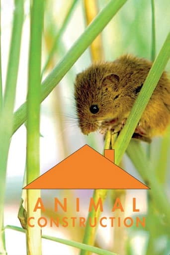 Poster for Animal Construction