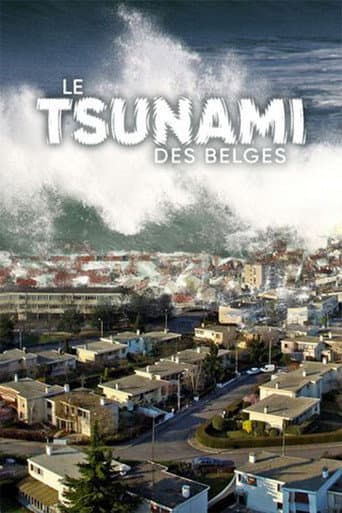 Poster for Le Tsunami des belges
