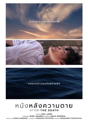 Poster for After the Death