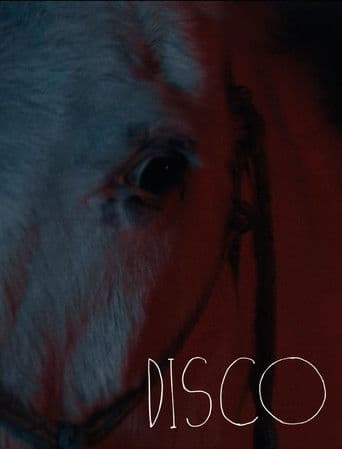 Poster for Disco