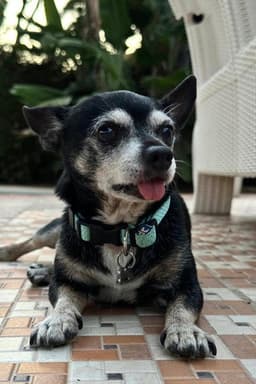 Photo of Cuki