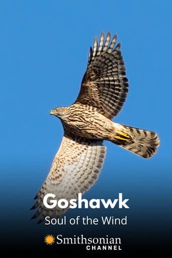 Poster for Goshawk - Soul of the Wind