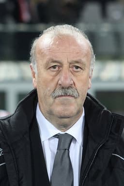 Photo of Vicente del Bosque