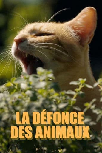 Poster for La défonce des animaux