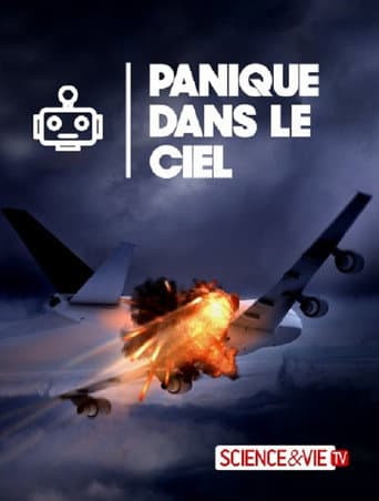 Poster for Planes Gone Viral