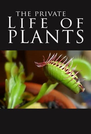 Poster for The Private Life of Plants