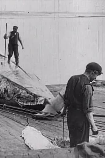 Poster for Whaling Afloat and Ashore