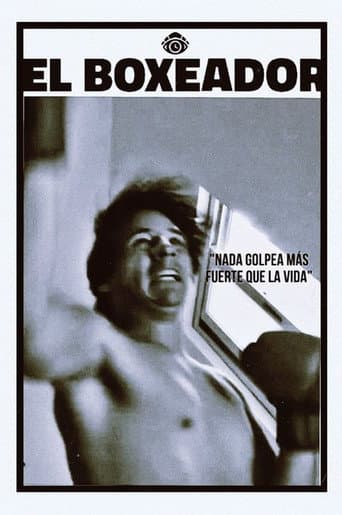 Poster for The Boxer