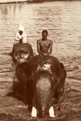 Poster for Edward Prince of Wales' Tour of India: Indore, Bhopal, Gwalior and Delhi