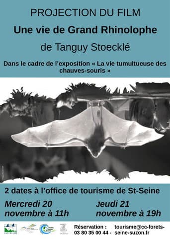 Poster for The Life of a Greater Horseshoe Bat