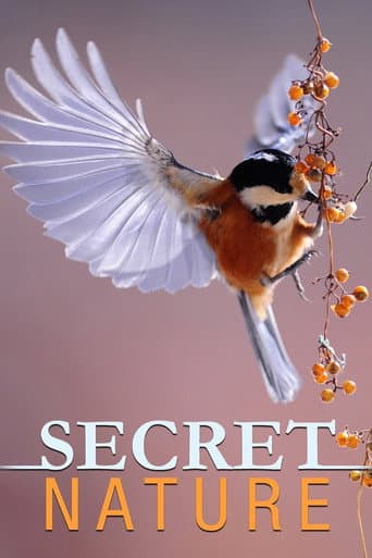 Poster for Secret Nature