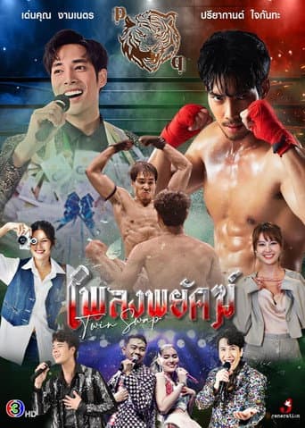 Poster for Twin Swap