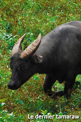 Poster for Le dernier tamaraw