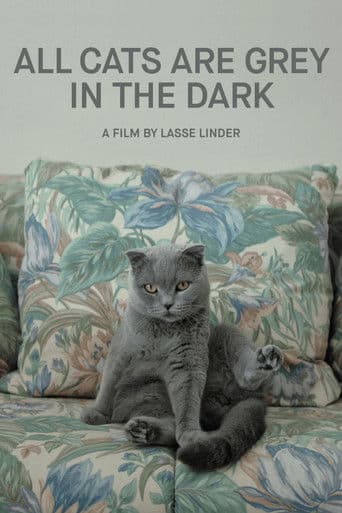 Poster for All Cats Are Grey in the Dark