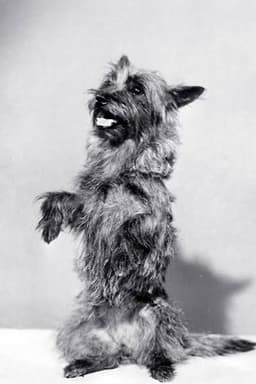 Photo of Terry