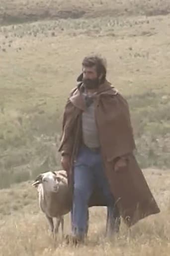Poster for Shepherd and beyond