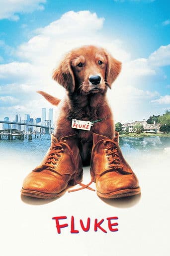 Poster for Fluke