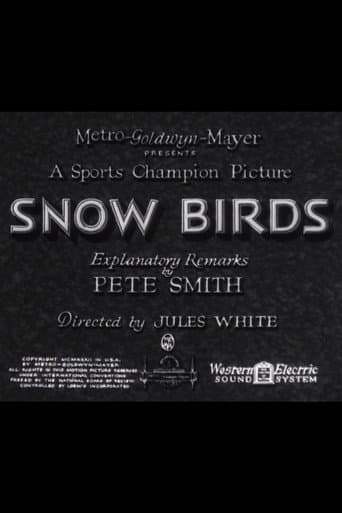 Poster for Snow Birds
