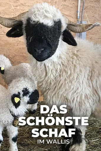 Poster for Das schönste Schaf im Wallis
