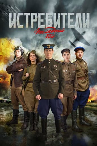 Poster for Attackers: The Last Flight