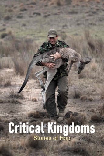 Poster for Critical Kingdoms - Stories of Hope