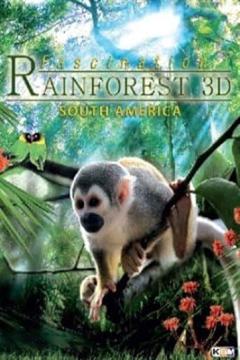 Poster for Fascination Rainforest 3D