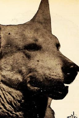 Photo of Lightning the German Shepherd