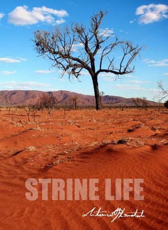 Poster for Strine Life