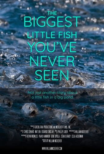 Poster for The Biggest Little Fish You've Never Seen