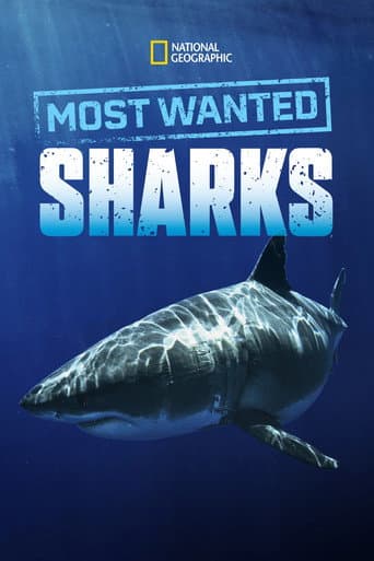 Poster for Most Wanted Sharks