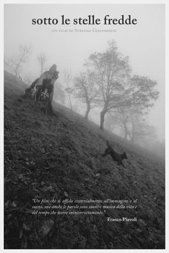 Poster for Under the Cold Stars