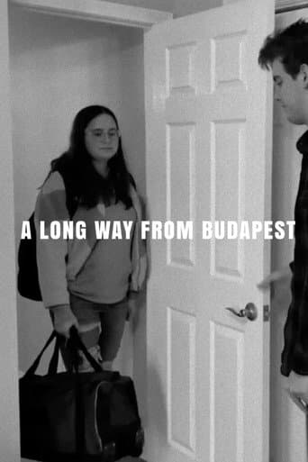 Poster for A Long Way from Budapest