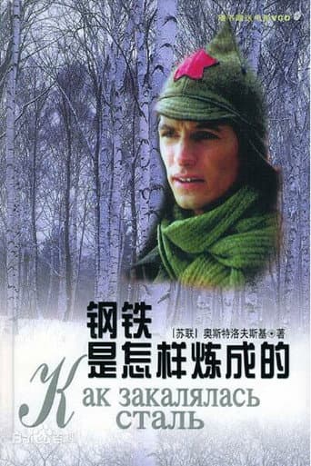 Poster for 钢铁是怎样炼成的