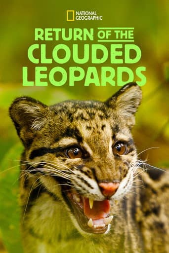 Poster for Return of the Clouded Leopards
