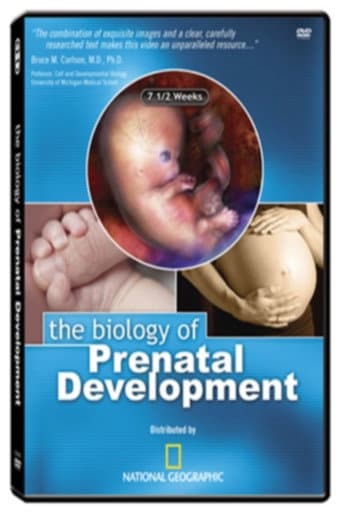 Poster for The Biology of Prenatal Development