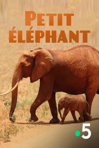 Poster for Small Elephant