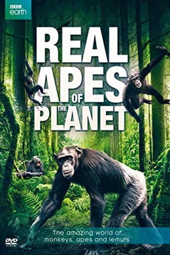 Poster for The Real Apes of the Planet