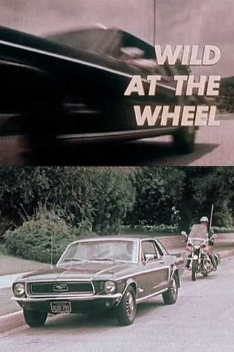 Poster for Wild at the Wheel